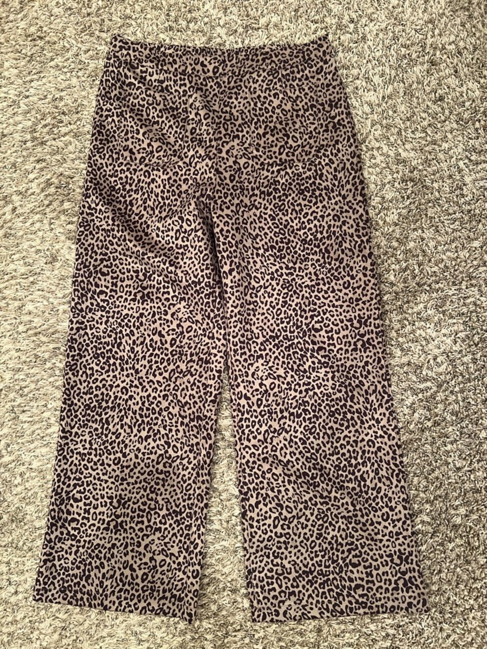 Leopard Print Wide-Leg Trousers in Brown